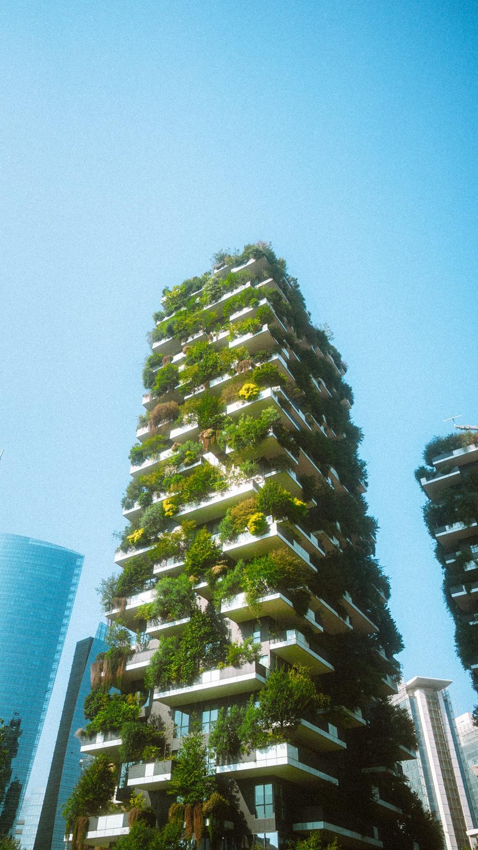 North Shore Eco-Home